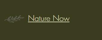 Nature Now Products